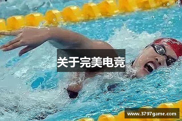 关于完美电竞